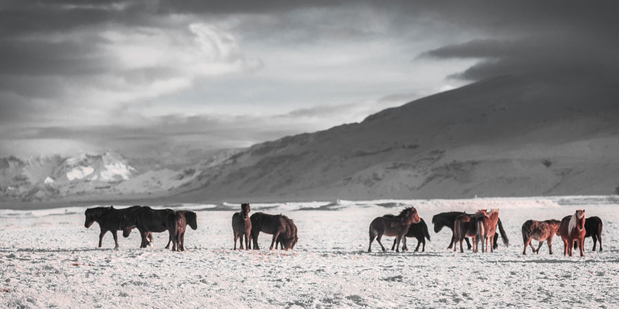 Martin Jernberg 232000 Unsplash L