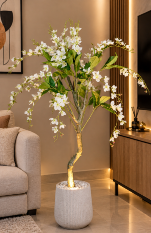 White-Sakura