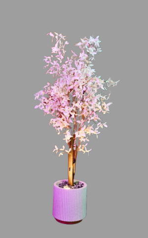 cherry sakura removebg preview (1)