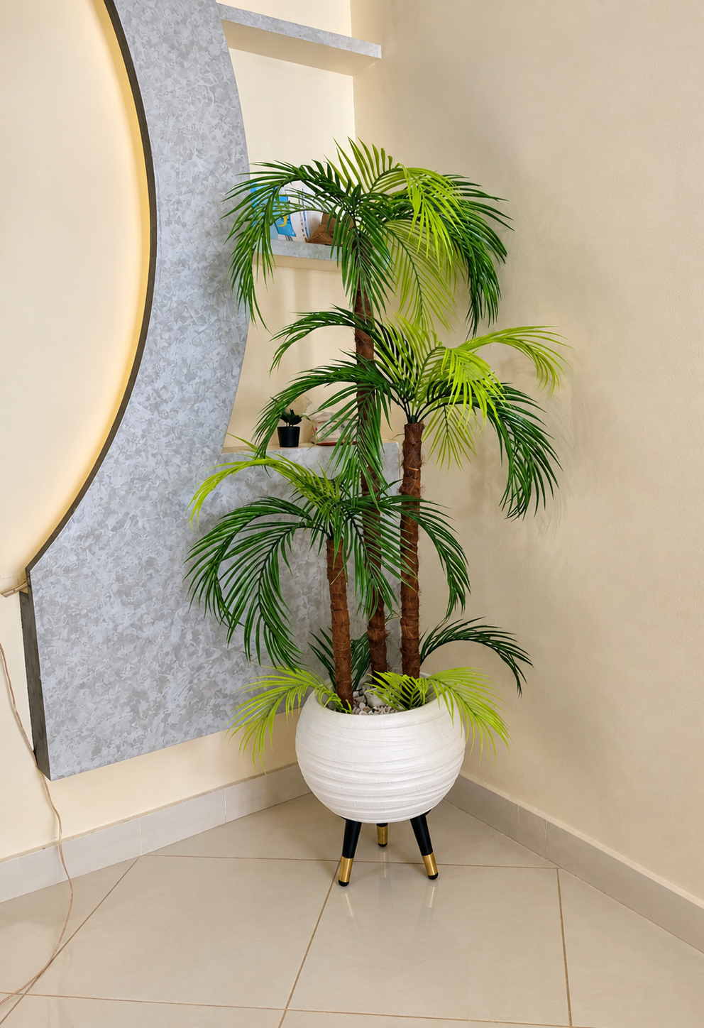 Palmier-Prestige