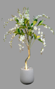 white sakura 145cm removebg preview (1)
