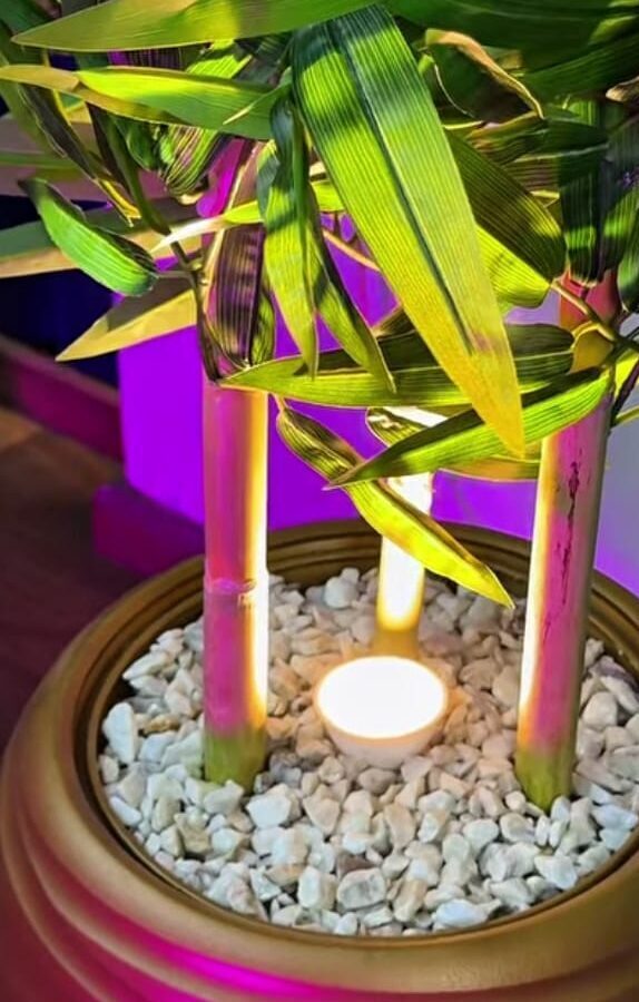 bamboo artificielle - Image 3