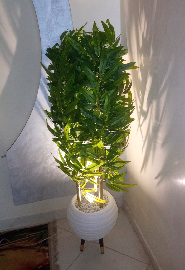 folivia_bamboo_photo_enhanced (1)